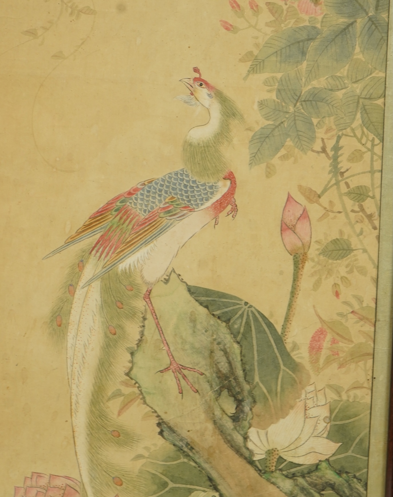 Chinese School , (18th/19th century), Phoenixes amid flowers, Ink and colour on paper; a pair